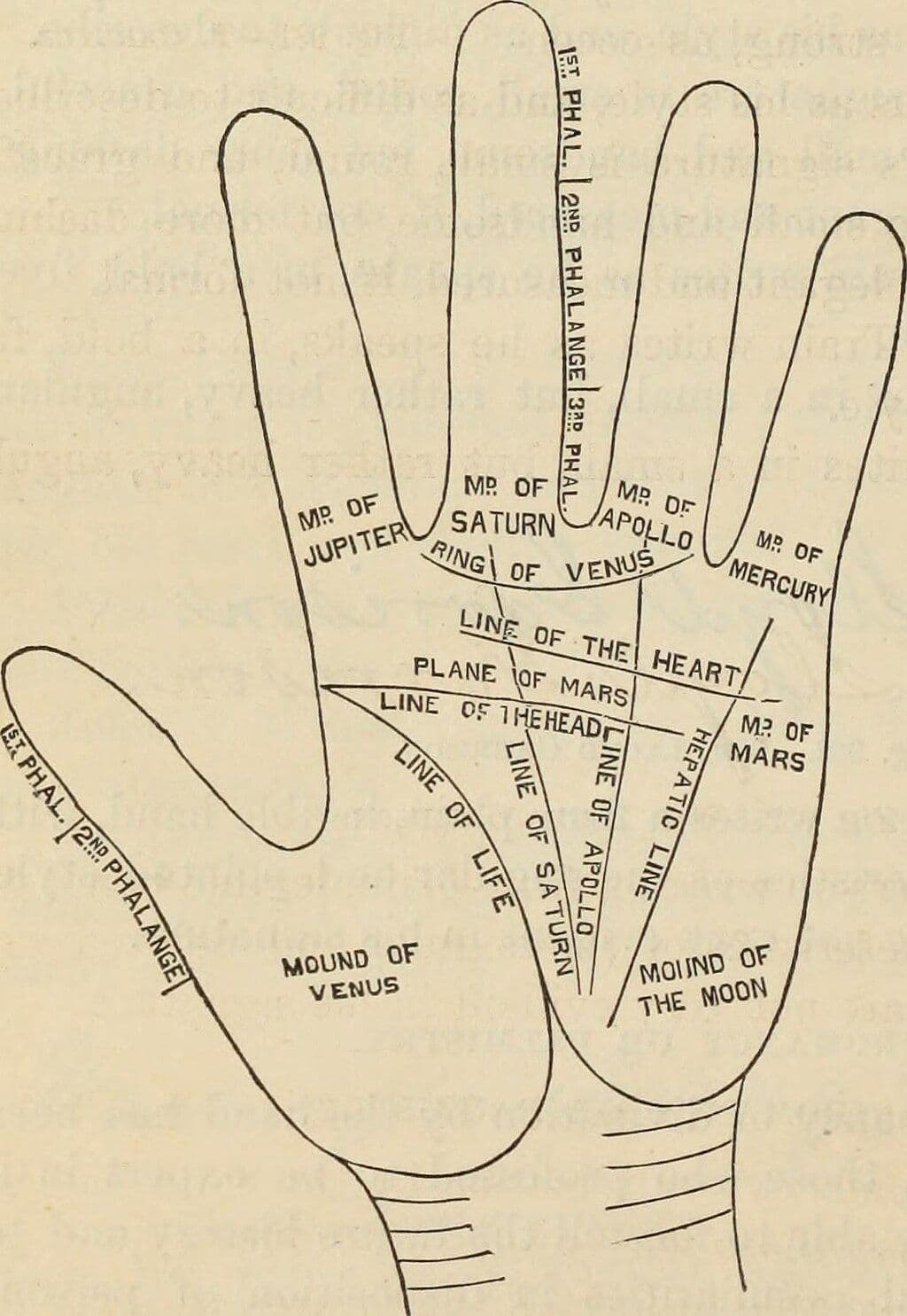 Palm Reading: Understanding How Your Hands Reflect Your Life Patterns